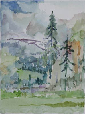 Forest, mountains