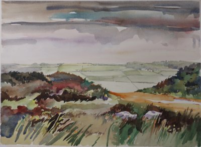 Grass, bushes, green fields in bg