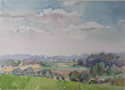 Grass, fields, forests