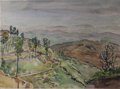 Green, hilly, partially terraced landscape