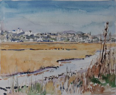 “cinnamon teal” landscape