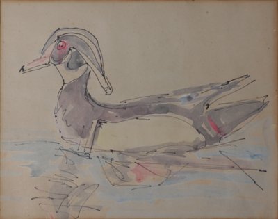 Duck
