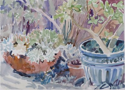 Still life: potted plants