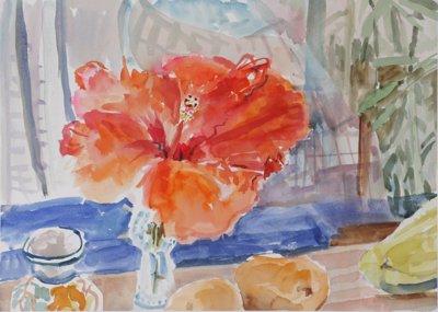 Hibiscus blossom
