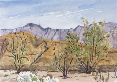 Desert