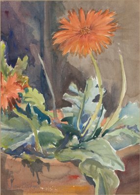 Flowers in pot