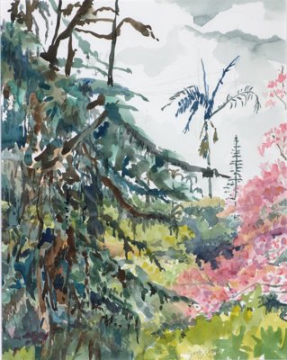 View from balcony, tabebuia and other trees